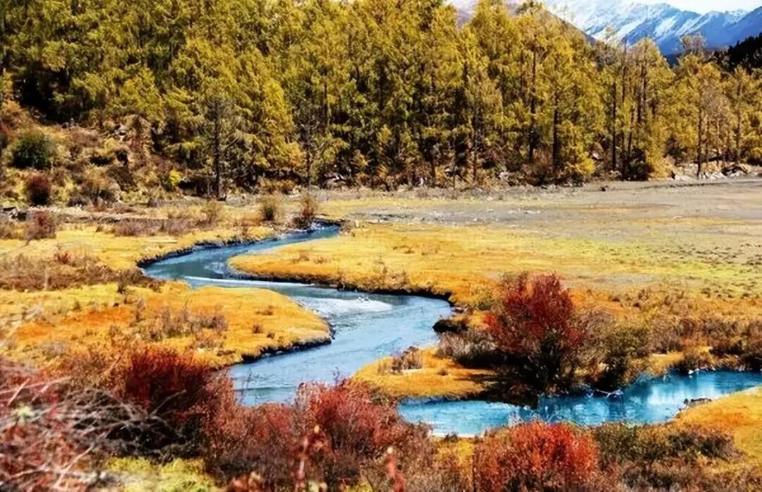 6条开往“中国最美秋天”的自驾路线，条条都是NO.1！