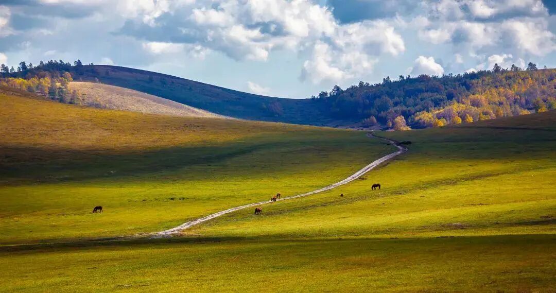 6条开往“中国最美秋天”的自驾路线，条条都是NO.1！