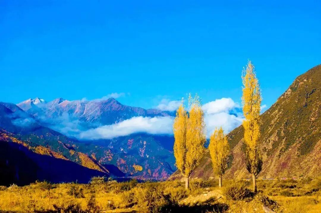 6条开往“中国最美秋天”的自驾路线，条条都是NO.1！