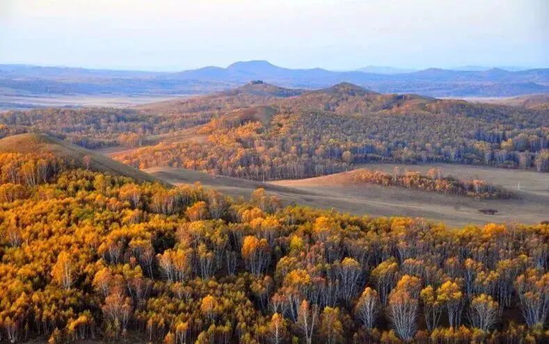 6条开往“中国最美秋天”的自驾路线，条条都是NO.1！