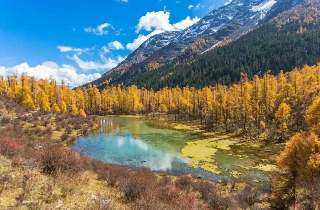 6条开往“中国最美秋天”的自驾路线，条条都是NO.1！