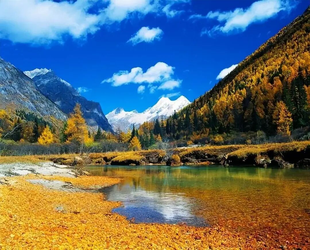 6条开往“中国最美秋天”的自驾路线，条条都是NO.1！