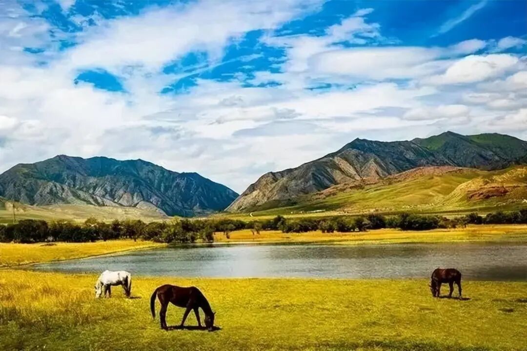 6条开往“中国最美秋天”的自驾路线，条条都是NO.1！