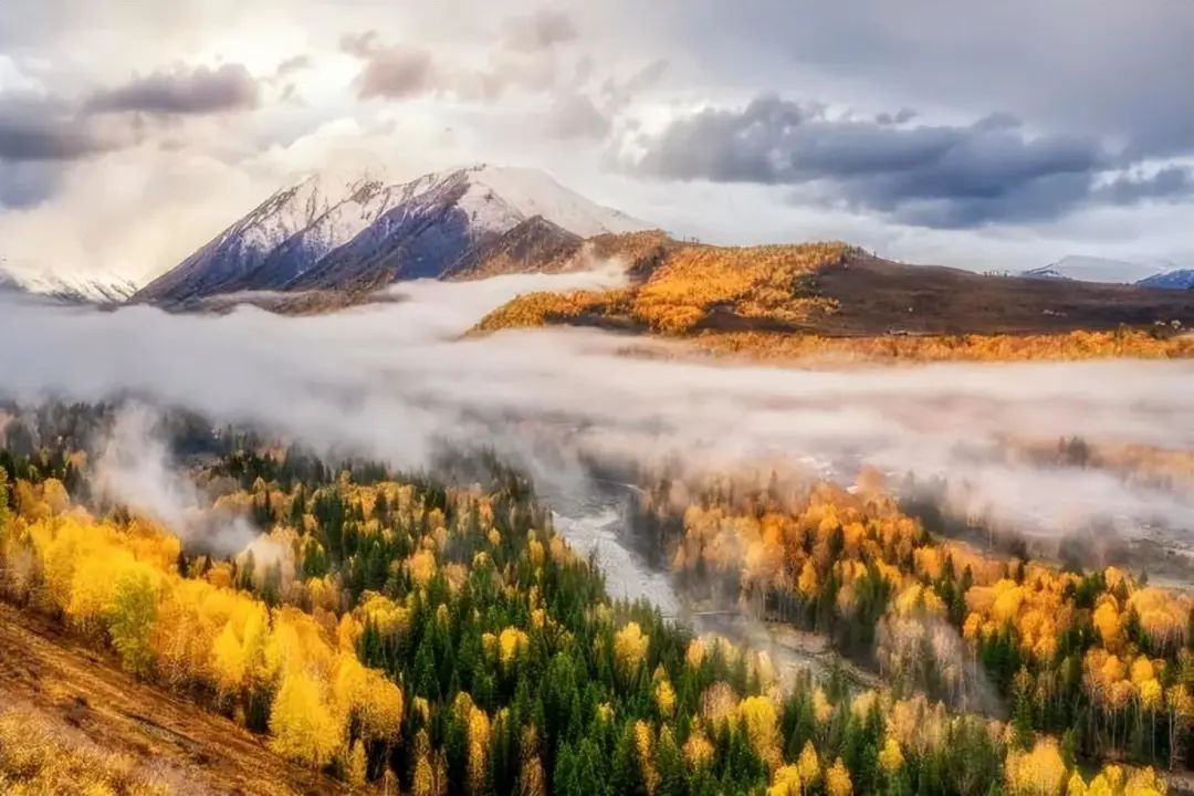 6条开往“中国最美秋天”的自驾路线，条条都是NO.1！