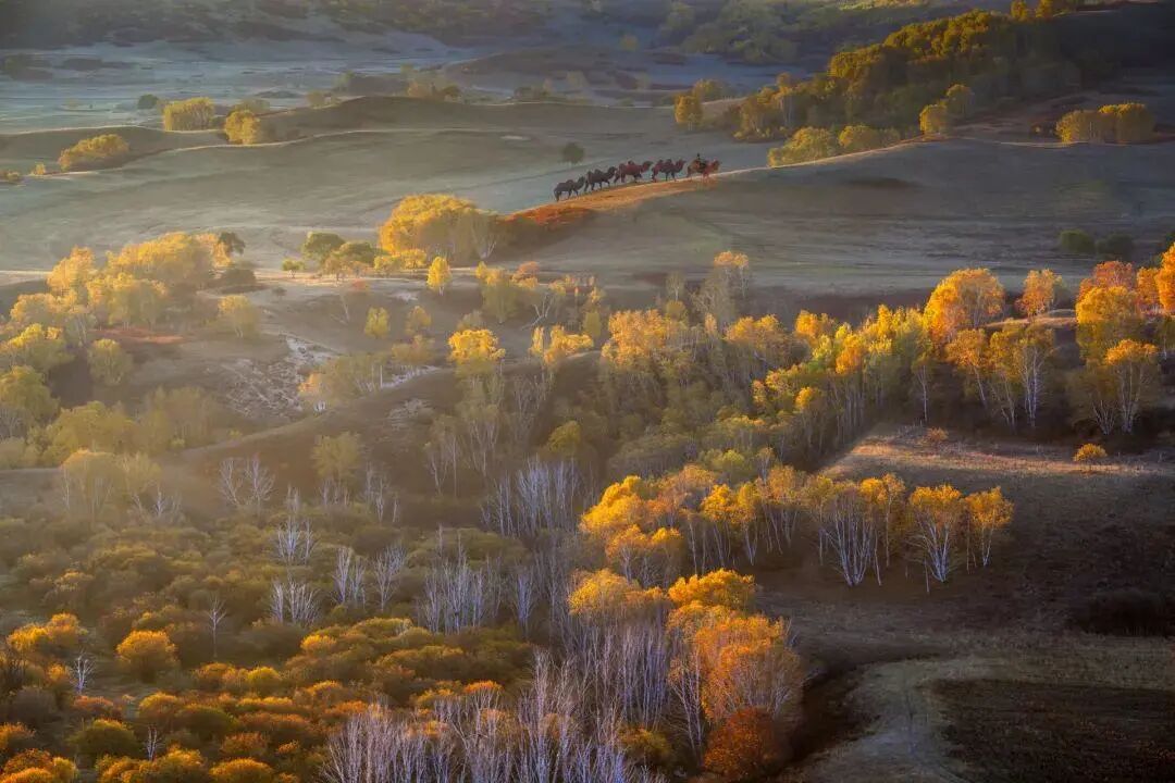 6条开往“中国最美秋天”的自驾路线，条条都是NO.1！