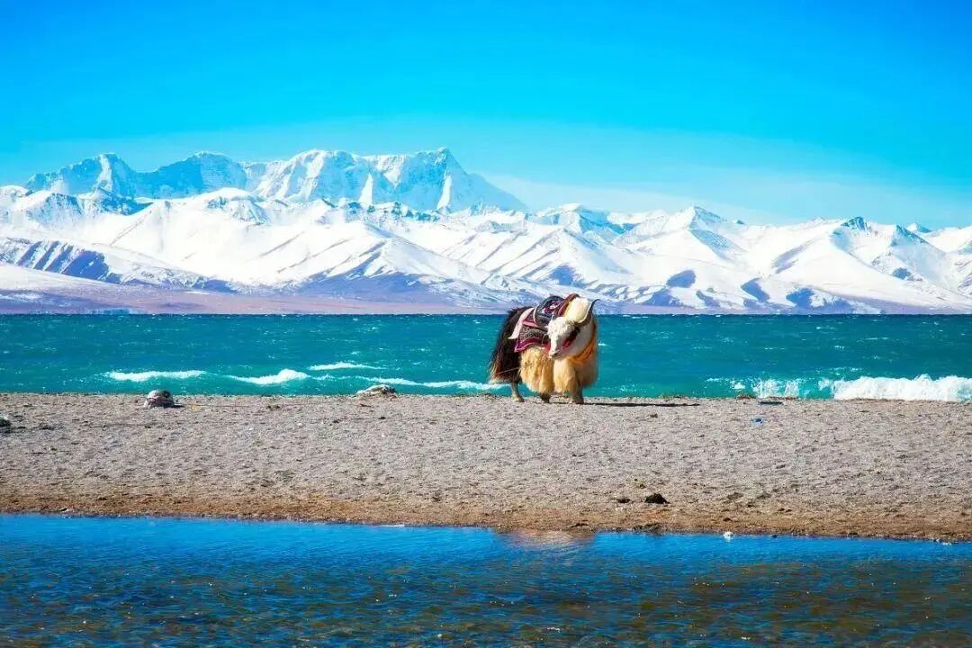 6条开往“中国最美秋天”的自驾路线，条条都是NO.1！