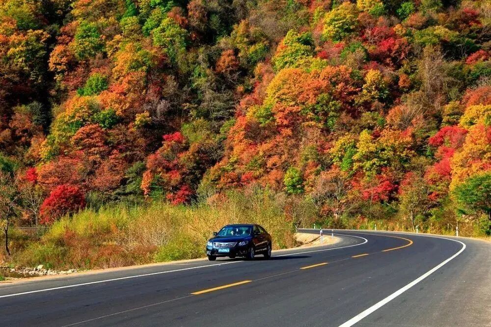 6条开往“中国最美秋天”的自驾路线，条条都是NO.1！