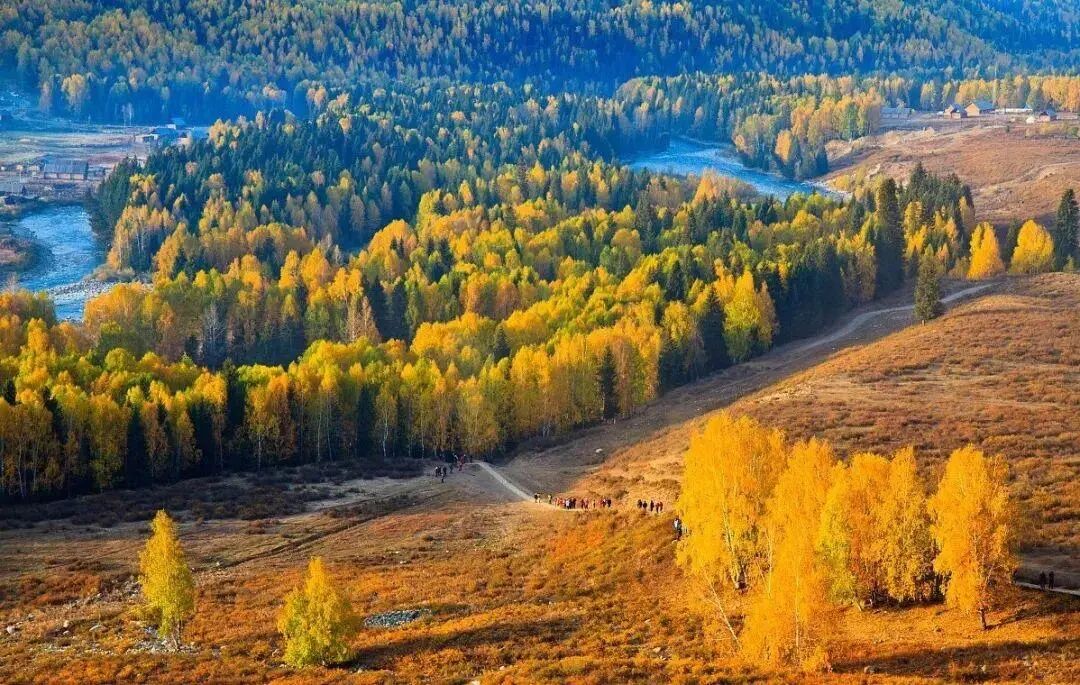 6条开往“中国最美秋天”的自驾路线，条条都是NO.1！