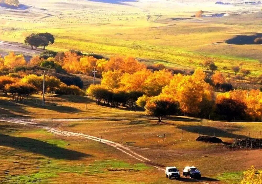 6条开往“中国最美秋天”的自驾路线，条条都是NO.1！