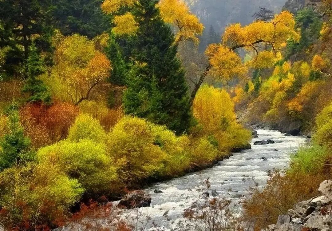 6条开往“中国最美秋天”的自驾路线，条条都是NO.1！