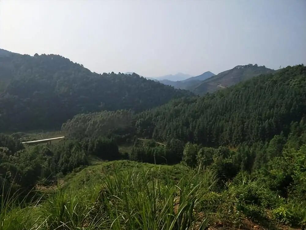 到广西最值得去的5个地方，你去过几个？