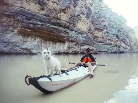 老婆想帶貓旅行，老公不同意：你要是能領養到算我輸，結果... 寵物 第12張