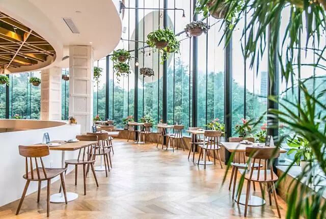 魔都超嗲的玻璃房餐厅!在阳光下用餐,简直温暖至极