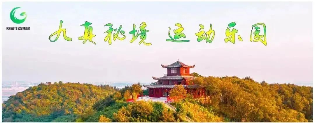 雅韵千年品香四海|2024九真山茶文化节——茶文化讲解