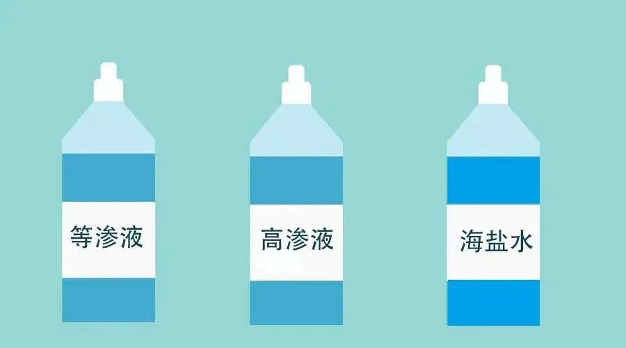 等渗冲洗液怎么用洗鼻的百科全说｜洗鼻子后头疼，是脑子进水了？_https://www.jmylbn.com_新闻资讯_第3张