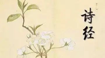 一日不见如三月兮-诗经导读|一日不见，如三月兮！