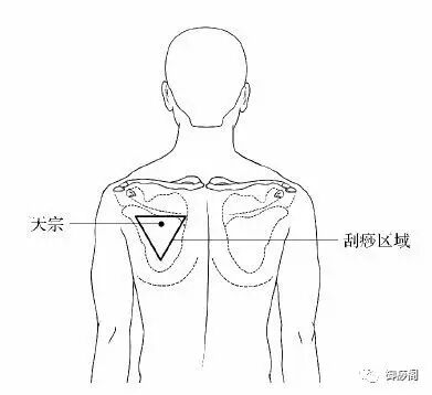 因此在这个区域内进行刮痧有活血通络,也就是背部的乳腺反射区.