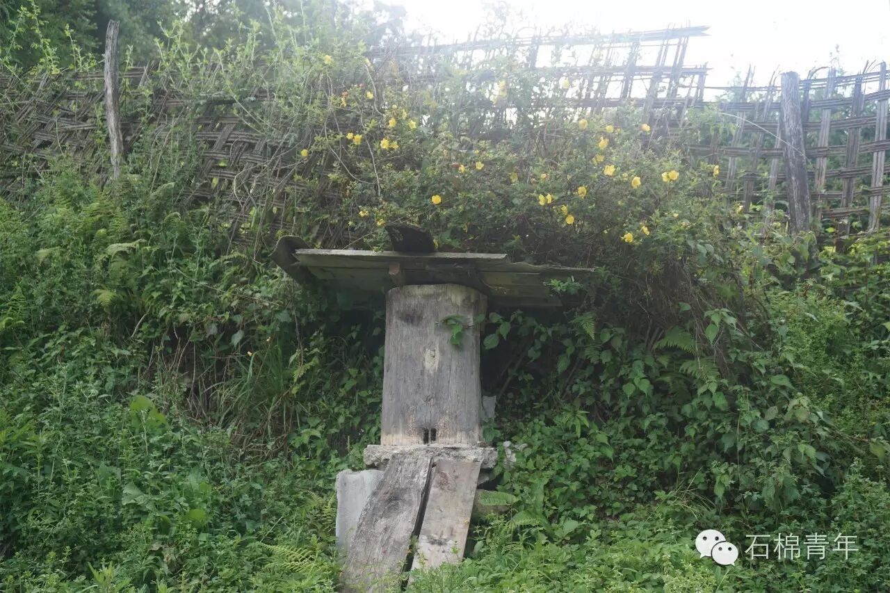 老式蜂桶