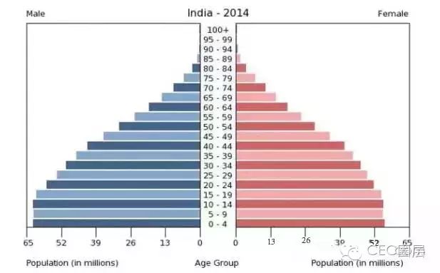 印度人口结构图2019图片