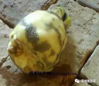 燕郊老特特产都有那些