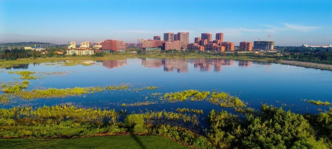 青岛中德生态园获评2021中国外商投资最满意产业园区