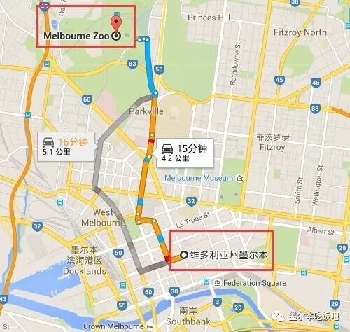 墨尔本动物园出游攻略，不容错过！亲子游必备，看看这些超可爱的萌物（组图） - 12