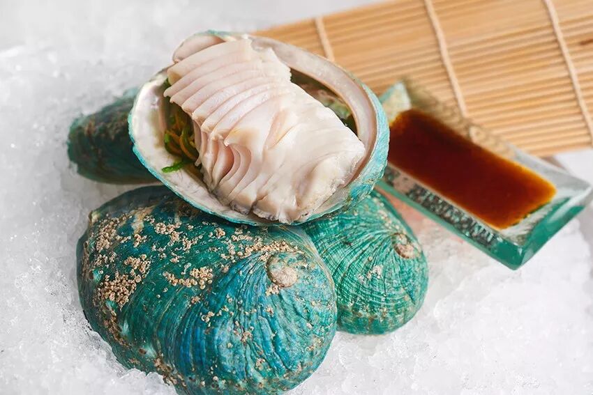 吃货必备！教你如何在冬日挑选超肥美贝类海鲜，塔州扇贝南澳鲍鱼悉尼生蚝，猫本吃啥？（组图） - 13