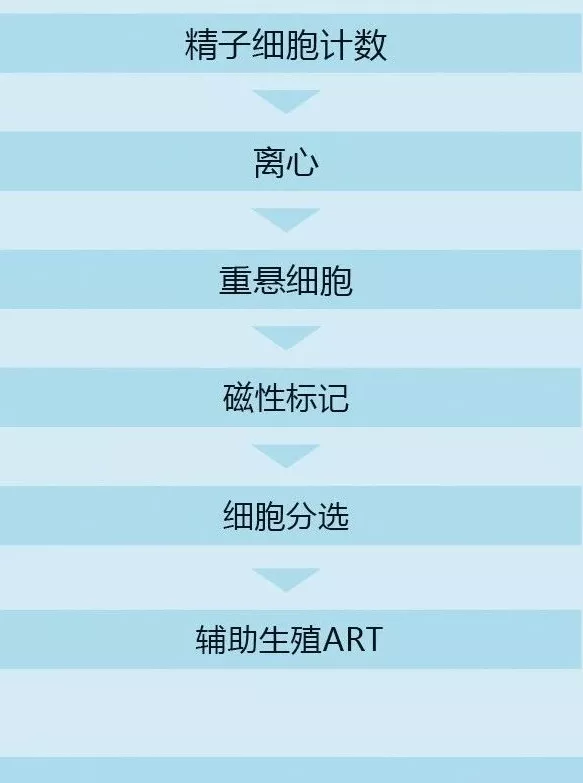 NEW【精子筛选】MACS ART Annexin V System,有效去除凋亡精子,提高辅助生殖成功率 NEW【精子筛选】MACS ART Annexin V System,有效去除凋亡精子,提高辅助生殖成功率