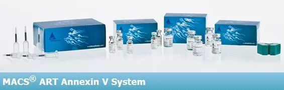 NEW【精子筛选】MACS ART Annexin V System，有效去除凋亡精子，提高辅助生殖成功率