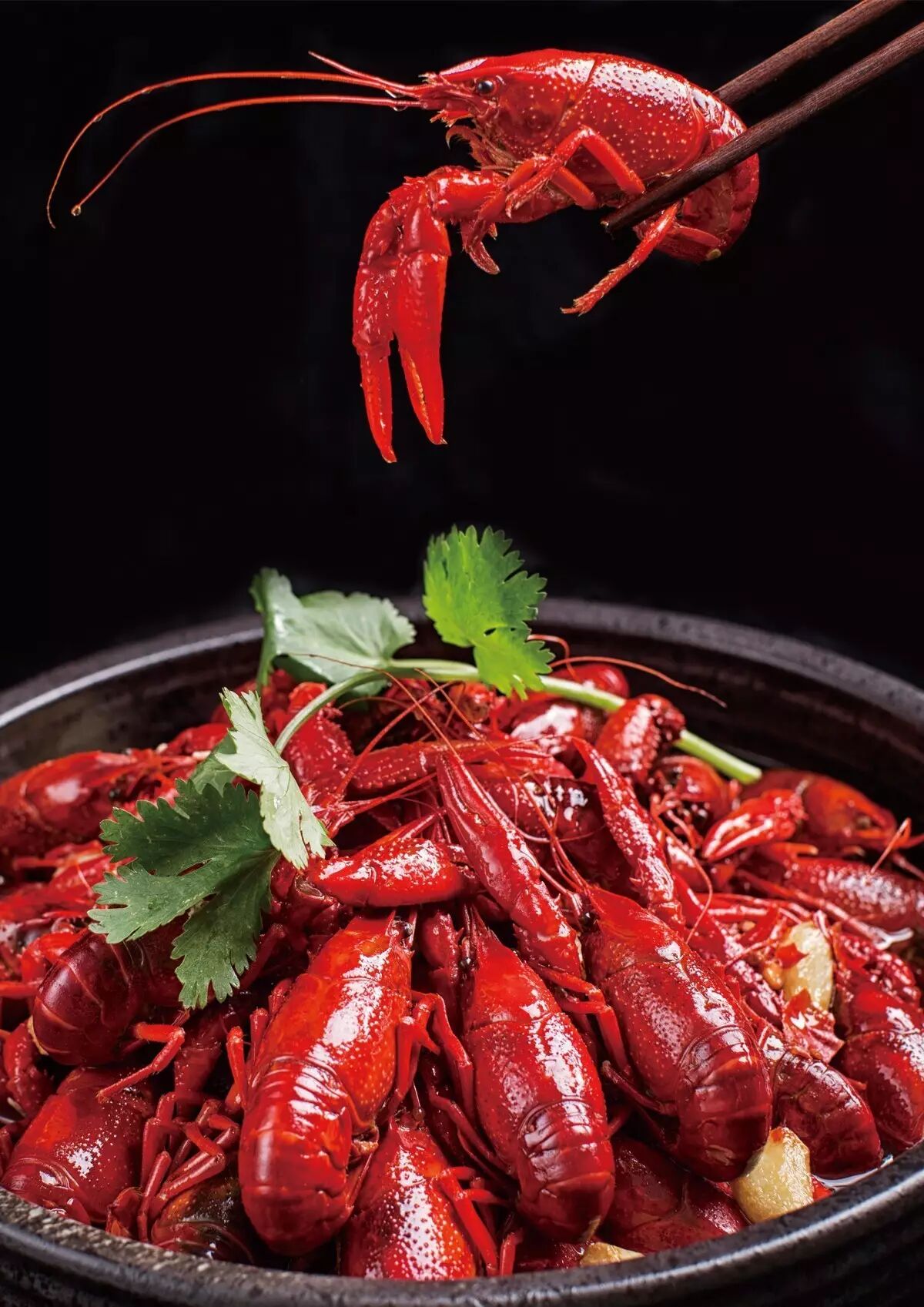 小龙虾,跟我走,带你找个蓝朋友|成都水产捕捞联盟