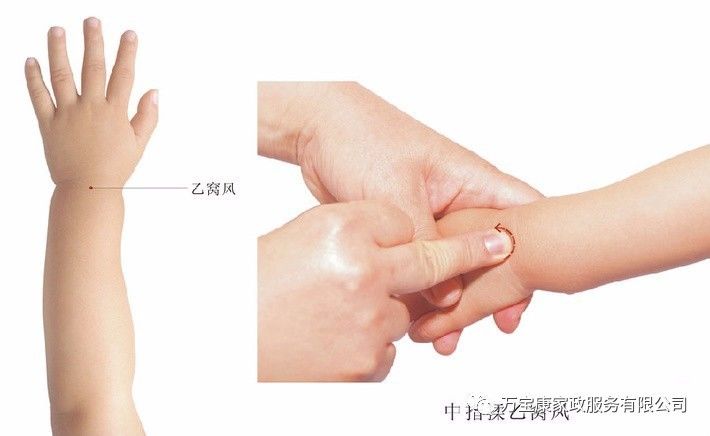 新阳池穴位置:在前臂背面,一窝风穴上1寸多,桡骨和尺骨相交的凹陷中.