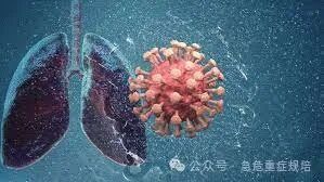 什么是加用治疗康焰教授：重症感染的治疗原则及抗菌药物分类及应用策略_https://www.jmylbn.com_新闻资讯_第1张