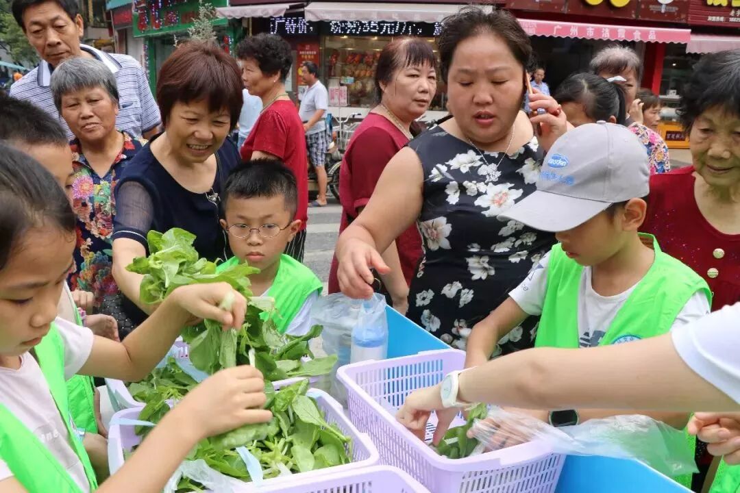 蔬菜鲜美引发抢购.JPG