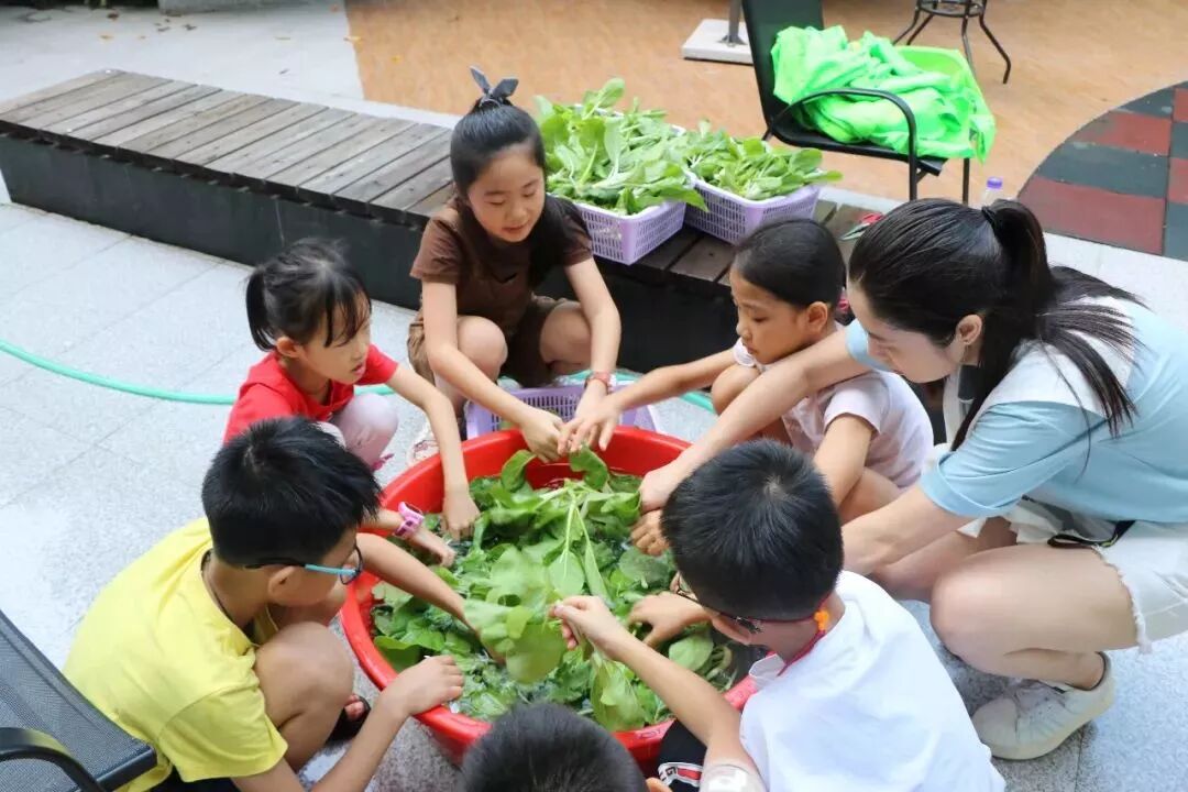 边劳动，边聊天，分享身边的故事.JPG