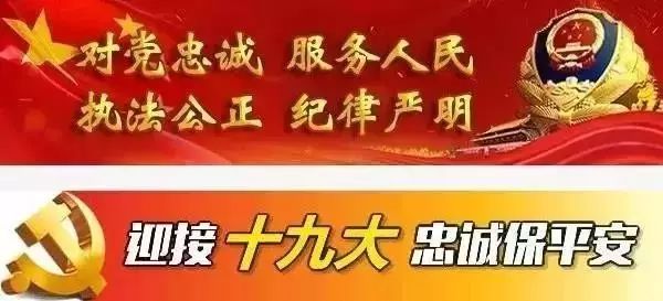 「痞子英雄」陳亮在《警察特訓營》演繹別樣風采 戲劇 第1張