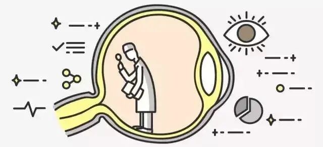 眼底照相能检查出什么教你如何看懂眼底检查_https://www.jmylbn.com_新闻资讯_第11张