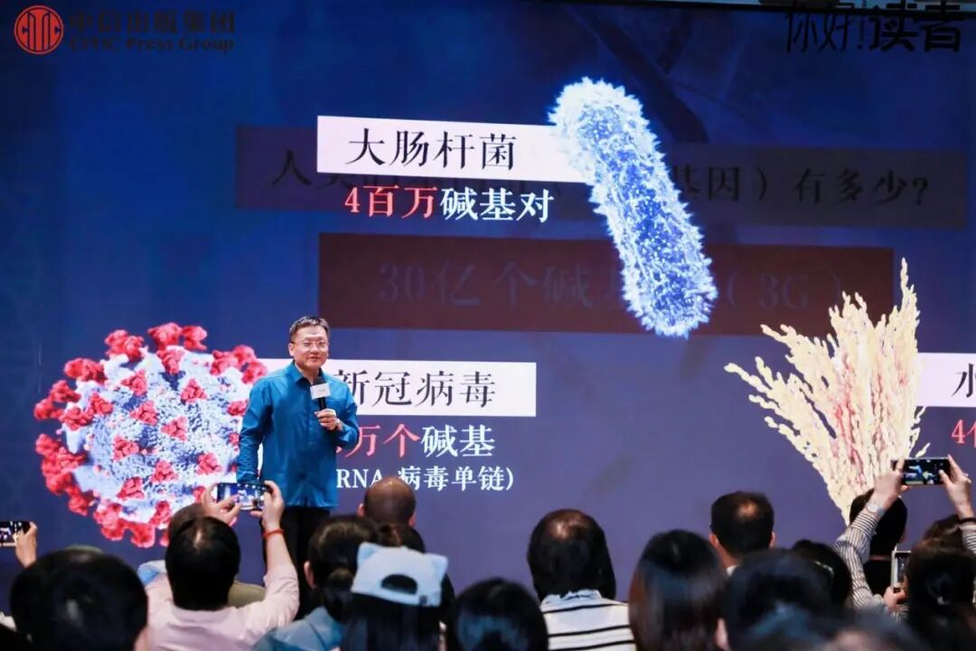 Word 内嵌图片