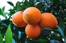 州是省吗_永州市属于哪个省_州的地级市