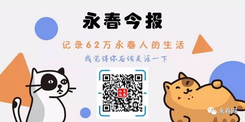 永春 因拳结缘留住 乡愁 永春今报 微信公众号文章阅读 Wemp