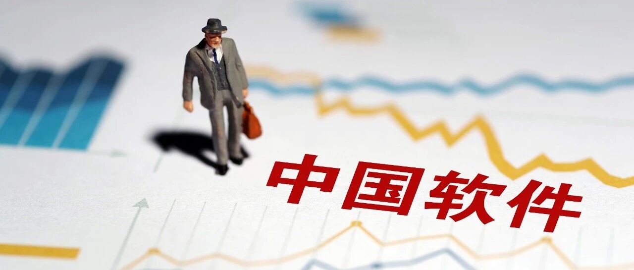 芯片卡脖子，我们的系统和软件能「自立」吗？