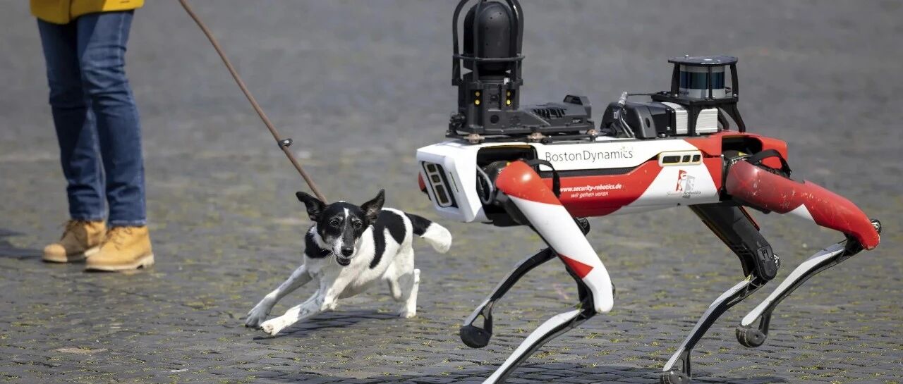 大公司怎么都开始「造狗」了？