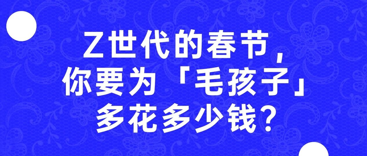 Z 时代的春节，你要为「毛孩子」多花多少钱？| 直播预告