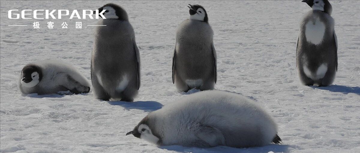 腾讯，这次是真的「躺」了