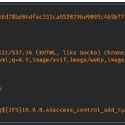 Example Image