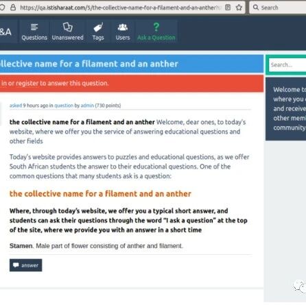 Example Image