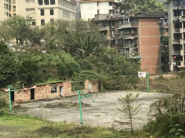 乐山职业技术学院_乐山学院职业技术学院地址_乐山学院职业技术学院官网