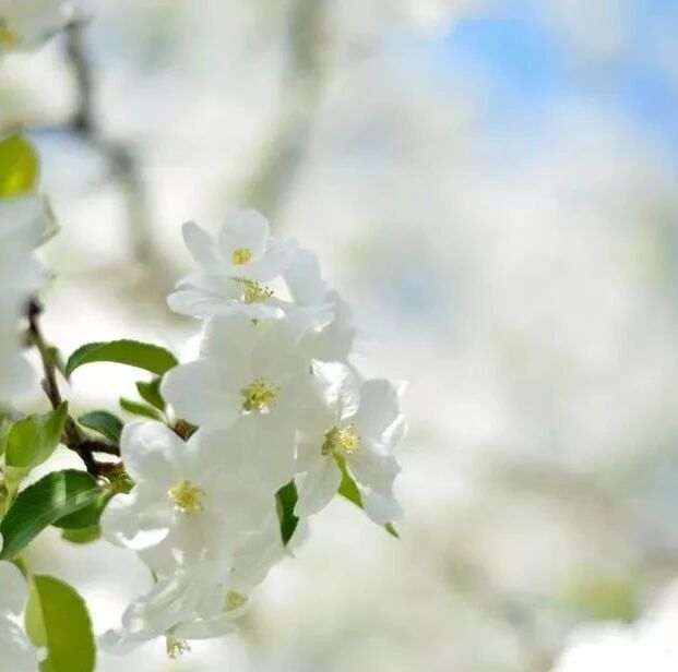 日久见人心，岁月识人品。