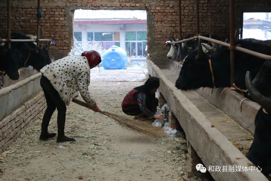 致富经牛_致富牛人李良华_致富牛人四川乡村