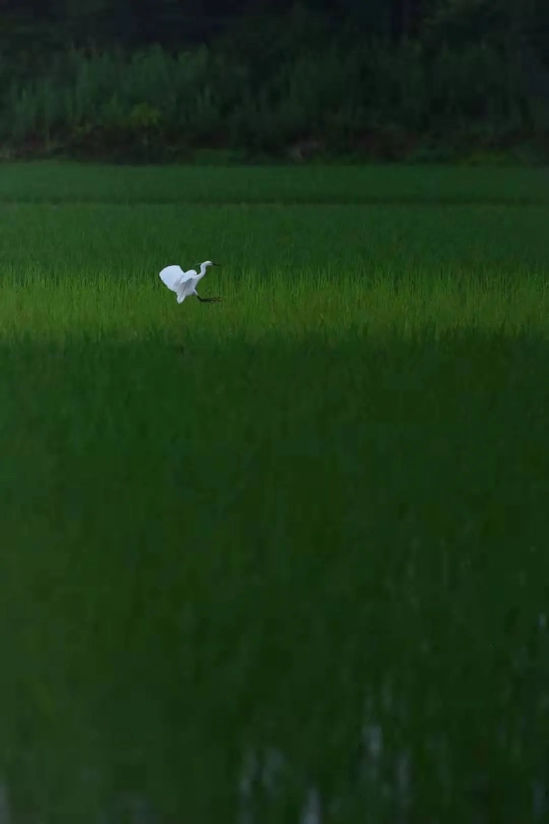 看淡生活的意思_看淡生活语录_看淡生活的常态