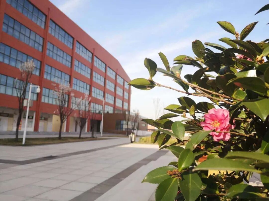 洛阳市东升第二中学清丰县实验中学济源示范区沁园中学长葛市第一小学